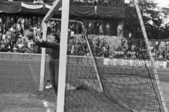 Magyarország, Budapest IX., Üllői út, FTC stadion, női nagypályás kézilabda mérkőzés., 1949, Kovács Márton Ernő, sport, kézilabda, Budapest, nők, kapus, Fortepan #33148