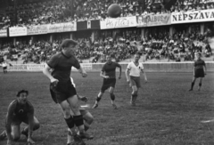 Magyarország, Budapest IX., Üllői út, FTC stadion. Kispest-Kistext (3:1) bajnoki mérkőzés. Puskás kapura fejel., 1949, Kovács Márton Ernő, labdarúgás, Budapest, híres ember, Fortepan #33257