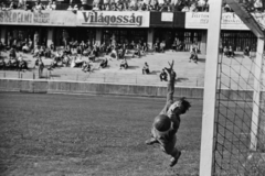 Magyarország, Budapest IX., Üllői út, FTC stadion. Kispest-Kistext (3:1) bajnoki mérkőzés., 1949, Kovács Márton Ernő, labdarúgás, kapus, Budapest, Fortepan #33258