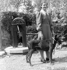 1930, Körmendy Pál, portrait, dog, garden, well, summer, woman, Fortepan #33331