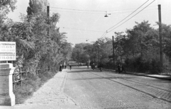 Magyarország, Szeged, a Belvárosi híd lejárata Újszeged és a Népkert felé., 1967, Építésügyi Dokumentációs és Információs Központ, VÁTI, kerékpár, híd, villamos, hídfő, sínpálya, felsővezeték, Fortepan #33369