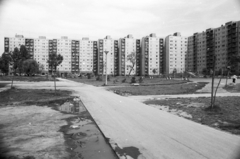 Magyarország, Székesfehérvár, Palotaváros (Lenin lakótelep), központi park, háttérben a Tolnai utca házai., 1986, Építésügyi Dokumentációs és Információs Központ, VÁTI, lakótelep, panelház, közvilágítás, Fortepan #33417