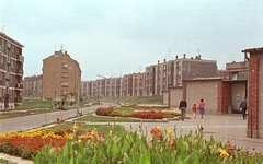 Magyarország, Kazincbarcika, Május 1. út., 1966, Építésügyi Dokumentációs és Információs Központ, VÁTI, színes, lakótelep, utcakép, virág, Fortepan #33459