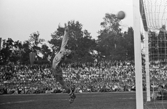 Magyarország, Debrecen, Nagyerdei Stadion, Magyarország - Lengyelország (8:2) válogatott labdarúgó-mérkőzés. Henryk Borucz, a lengyel válogatott kapusa., 1949, Kovács Márton Ernő, sport, labdarúgás, kapus, Fortepan #33542