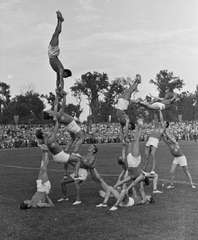 Magyarország, Debrecen, Nagyerdei Stadion, Magyarország - Lengyelország (8:2) válogatott labdarúgó-mérkőzés., 1949, Kovács Márton Ernő, sport, torna, terpesz, kézenállás, emberi piramis, mutatvány, Fortepan #33543