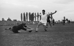 Magyarország, Győr, Vasas ETO - FTC (0:4) bajnoki mérkőzés, Deák elől ment a kapus., 1949, Kovács Márton Ernő, sport, labdarúgás, kapus, Fortepan #33625