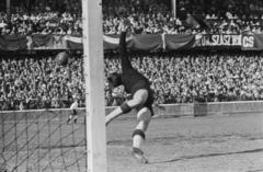 Magyarország, Budapest IX., Üllői út, FTC stadion, Ferencváros - Újpest (4:3) Népszava serleg döntő mérkőzés. Henni véd., 1949, Kovács Márton Ernő, Budapest, nézőtér, labdarúgás, kapus, Fortepan #33709