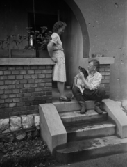 1946, Kovács Márton Ernő, dog, stairs, sitting on stairs, bullet hole, Fortepan #33718