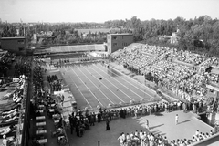 Magyarország, Margitsziget, Budapest, Hajós Alfréd Nemzeti Sportuszoda., 1949, Kovács Márton Ernő, tribün, úszóverseny, Hajós Alfréd-terv, Fortepan #33757