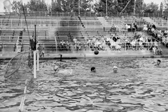 Magyarország, Margitsziget, Budapest, Hajós Alfréd Nemzeti Sportuszoda., 1949, Kovács Márton Ernő, életkép, vízilabda, Fortepan #33766