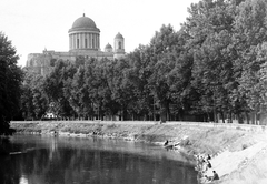 Magyarország, Esztergom, Kis-Duna, Bazilika., 1952, Fortepan, horgászat, Bazilika, Duna, Fortepan #3415