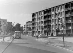 Hungary, Budapest IX., József Attila lakótelep, Ifjúmunkás utca (a Pöttyös utca felől)., 1970, Fortepan, Gerrman brand, Trabant-brand, blocks, street view, Robur-brand, lamp post, Budapest, Fortepan #351