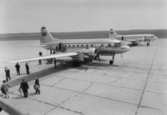 Magyarország, Ferihegyi (ma Liszt Ferenc) repülőtér, Budapest XVIII., az Aeroflot szovjet légitársaság Il-12B típusú repülőgépei., 1956, UVATERV, közlekedés, szovjet gyártmány, repülőgép, Iljusin-márka, Aeroflot légitársaság, iljusin IL-12, Budapest, cirill írás, Fortepan #3742