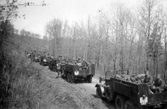 Krupp Kfz. 70 (Protze) teherautók és tüzérségi vontatók., 1942, Csorba Dániel, keleti front, teherautó, katonaság, második világháború, rendszám, Krupp Protze, katonai rendszám, Fortepan #38973