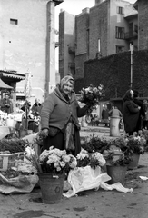 Hungary, Budapest II., Fény utcai piac, virágárusok a Retek utcai oldalon., 1970, Hajdú Zsuzsanna, market, flower, firewall, bucket, dustbin, florist, Budapest, Fortepan #39319