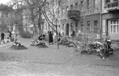 Magyarország, Budapest V., Károlyi kert, jobbra a Magyar utca házai. Az 1956-os forradalom alatt elesettek ideiglenes sírjai., 1956, Nagy Gyula, cégtábla, forradalom, sírhalom, mellszobor, Budapest, Fortepan #39992