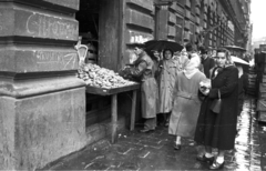 Hungary, Budapest V., Bihari János utca a Szent István körútról nézve., 1956, Nagy Gyula, revolution, umbrella, rain, potato, Budapest, Fortepan #40232