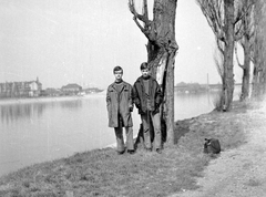 Hungary, Margit Islands, Budapest, háttérben a Hajógyári-sziget és az Árpád híd., 1969, Fortepan, Fortepan #4029