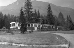 Szlovákia,Magas-Tátra, Tátraotthon, a Tátrai Villamos Vasút (TEŽ) "Tatra" villamos szerelvénye, háttérben a Nagyszalóki csúcs., 1977, Varga János, Csehszlovákia, erdő, vasút, Tátra hegység, Csehszlovák Államvasutak, Fortepan #40365