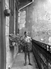 1943, Simon Tibor, portrait, courtyard balcony, boy, Fortepan #40668