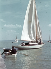 Magyarország,Balaton, Daruvár 60-as cirkáló. A hajóban hátul Reményi Schneller Lajos, a tulajdonos., 1940, Ember Károly dr., vitorláshajó, színes, csónak, Fortepan #40794