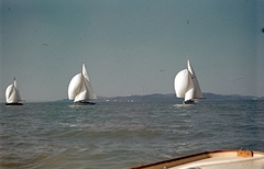 Hungary,Lake Balaton, vitorlásverseny Siófok előtt, háttérben Tihany., 1943, Ember Károly dr., sailboat, colorful, Fortepan #40826