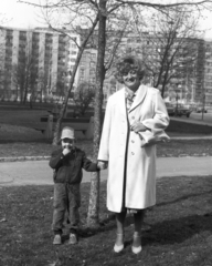 Magyarország, Budapest XI., Irinyi József urca - Bogdánfy út sarkán lévő park, szemben az Irinyi József utca - Karinthy Frigyes út "sarok"., 1983, Fortepan, Budapest, Fortepan #41071