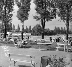 Magyarország, Margitsziget, Budapest, Palatinus Strandfürdő., 1964, Angyalföldi Helytörténeti Gyűjtemény, strand, Fortepan #41126