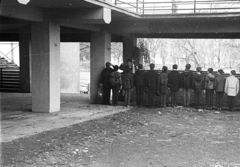 Magyarország, Margitsziget, Budapest, a szabadtéri színpad bejáratánál., 1975, Angyalföldi Helytörténeti Gyűjtemény, sorfal, Fortepan #41195