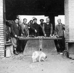 Hungary, Domony, munkaszolgálat, konyha., 1941, MZSL/Magyar Zsidó Levéltár, dog, kitchen, cooking, knife, labor service, Fortepan #41687