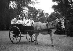 1932, Zichy, tableau, donkey, coach, woman, cart, Fortepan #41736