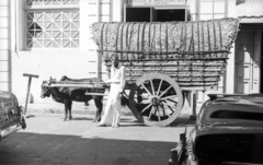 Sri Lanka, 1963, MZSL/Ofner Károly, chariot, coach, Fortepan #41864