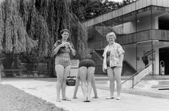 Hungary, Miskolc,Miskolctapolca, strandfürdő., 1970, Fortepan, beach, bathing suit, tableau, Fortepan #4216