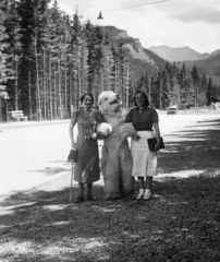 Lengyelország,Lengyel Magas-Tátra, Zakopane, 1939, MZSL/Ofner Károly, erdő, kirándulás, nők, jelmez, medve, hegy, vidámság, sétabot, Tátra hegység, Fortepan #42292