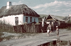 Russia, Koltunovka, 1942, Konok Tamás id, colorful, thatched roof, braided fence, Fortepan #42577