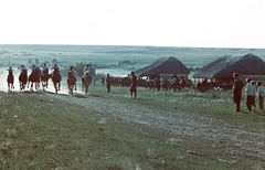 1942, Konok Tamás id, colorful, horse, competition, Fortepan #42591