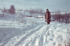 1942, Konok Tamás id, village, winter, snow, colorful, Fortepan #42599