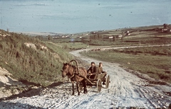 Russia, 1942, Konok Tamás id, colorful, horse, chariot, Fortepan #42629