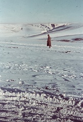 Russia, Ivanovka, (Voronyezsi terület, hoholszkiji járás), a felvétel a település déli határánál készült., 1942, Konok Tamás id, solitude, winter, snow, colorful, uniform, man, Fortepan #42658