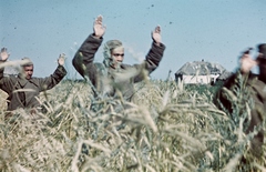 1942, Konok Tamás id, colorful, prisoner of war, Soviet soldier, gesture, hands up, Fortepan #42677