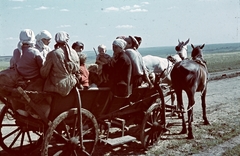 1942, Konok Tamás id, colorful, horse, chariot, military, Fortepan #42711