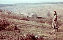 1942, Konok Tamás id, colorful, landscape, peasant, windmill, shepherd's crook, Fortepan #42714