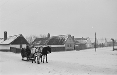 Magyarország, Győr, Ménfőcsanak, Csanaki utca a Hegyalja utca felől nézve., 1939, Konok Tamás id, falu, tél, hó, ló, szán, Fortepan #42894