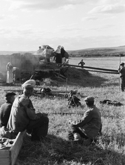 Russia, Koltunovka, 1942, Konok Tamás id, agriculture, Fortepan #43047