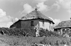 1942, Konok Tamás id, village, goose, thatch roof, Fortepan #43060