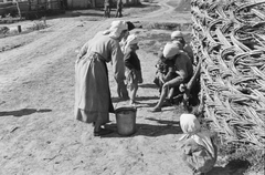 Oroszország, Koltunovka, 1942, Konok Tamás id, vödör, fejkendő, mezítláb, fonott kerítés, Fortepan #43128