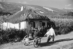 Oroszország, Koltunovka, 1942, Konok Tamás id, Szovjetunió, keleti front, második világháború, nádtető, Fortepan #43139