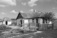 Oroszország, 1942, Konok Tamás id, Szovjetunió, keleti front, második világháború, léckerítés, zsúptető, boronafal, Fortepan #43142