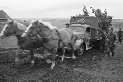 1942, Konok Tamás id, keleti front, ló, teherautó, második világháború, fogat, Fortepan #43147