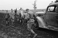 1942, Konok Tamás id, keleti front, ló, teherautó, második világháború, katona, automobil, Fortepan #43150